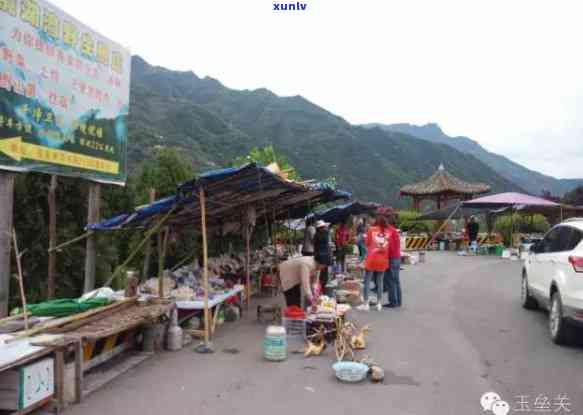 文县特产介绍：探索当地美食文化，一图带你了解文县特色小吃！