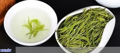 文县茶叶特产有哪些-文县茶叶特产有哪些品种