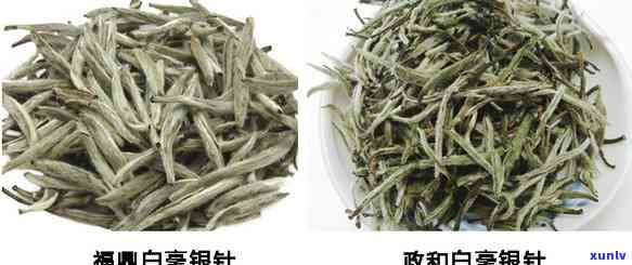 带白毫的茶叶有哪些-带白毫的茶叶有哪些品种