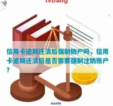 中信逾期被强制注销的结果是什么？怎样解决？