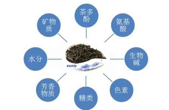 茶叶化学成分与特征性成分，探究茶叶的化学成分与特征性成分