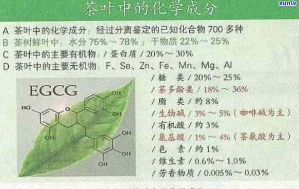 茶叶化学成分与特征性成分，探究茶叶的化学成分与特征性成分