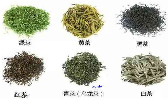 茶叶内含物质有哪些-茶叶内含物质有哪些种类