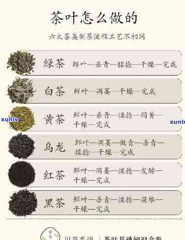 带甜味的茶叶是什么茶？像是加了糖，哪种茶口感甜美？