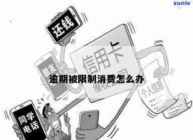 逾期几次被限制消费-逾期几次被限制消费怎么办