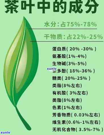 茶叶的成分及作用：详解其利弊与功效