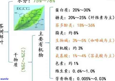 茶叶主要含有哪4种成分,分别决定了茶叶的什么特征，揭秘茶叶的四大核心成分，影响其独特特性的关键所在