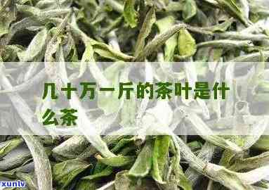 一万块的茶叶有哪些-一万块的茶叶有哪些