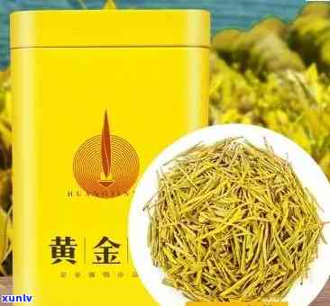 金黄色的茶叶有哪些品种，探索金黄色茶叶的世界：了解不同品种的特点与魅力