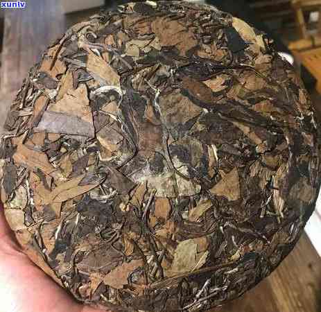 带山字的茶叶有哪些品种，探秘茶世界：带山字的茶叶品种大盘点