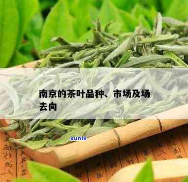 南京茶叶特产有哪些-南京茶叶特产有哪些品种