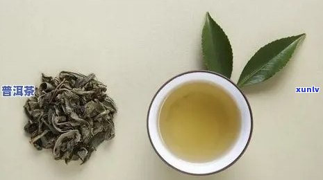 抗氧化的茶叶有哪些-抗氧化的茶叶有哪些品种