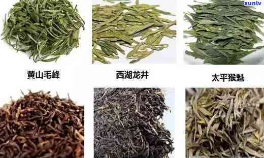 特别香的茶叶有哪些品种及其图片与名称全揭秘