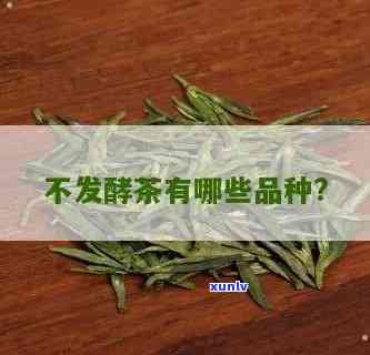 不发酵的茶叶有哪些种类，探究不发酵茶叶的种类及其特点