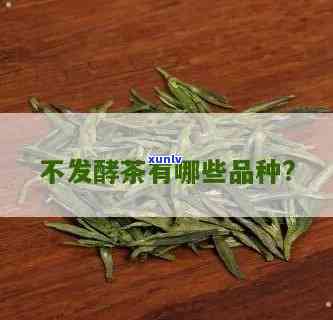 不发酵的茶叶有哪些-不发酵的茶叶有哪些品种