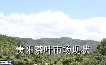 贵阳茶叶市场有哪些-贵阳茶叶市场有哪些地方