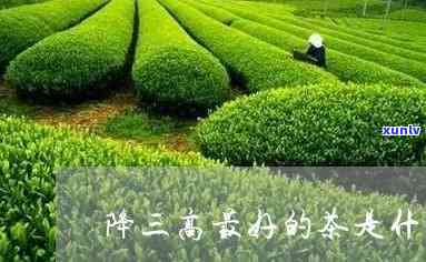 降三高的茶叶有哪些-降三高的茶叶有哪些品种