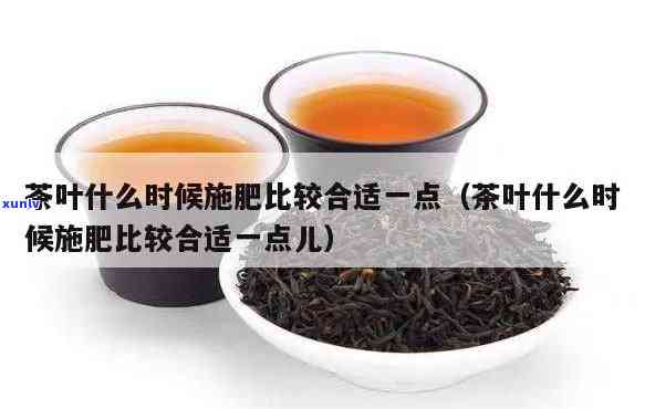 茶叶复合肥什么比例好，茶叶与复合肥的配比，如何让植物更健？