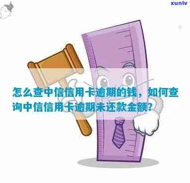 怎么查中信逾期还款情况？步骤全解析