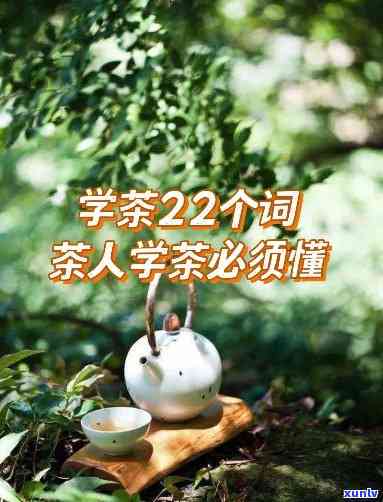 关于茶叶的a有哪些-关于茶叶的a有哪些词语