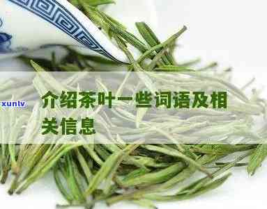 关于茶叶的a有哪些-关于茶叶的a有哪些词语