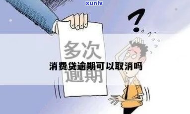 飘绿翡翠吊坠价格，翡翠爱好者必看：飘绿翡翠吊坠的价格解析