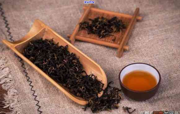 秋天产的茶叶有哪些品种，探秘秋日茶香：秋产的茶叶品种大盘点