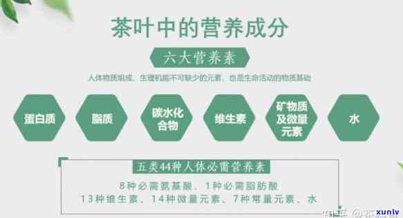 茶叶营养成分有哪些种类？深入了解其组成与功效