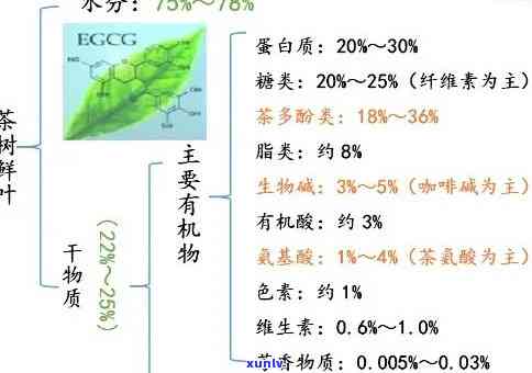 各种茶叶营养成分表对比，全面解析：各类茶叶的营养成分对比表