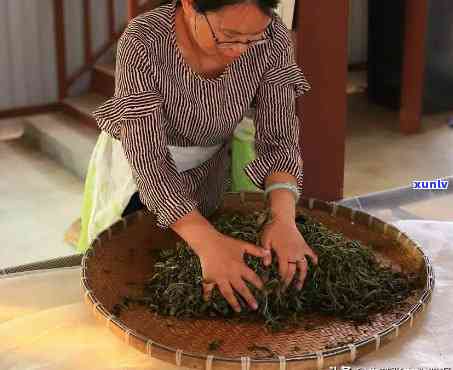 老班章茶什么节喝：饮用时间与适宜搭配