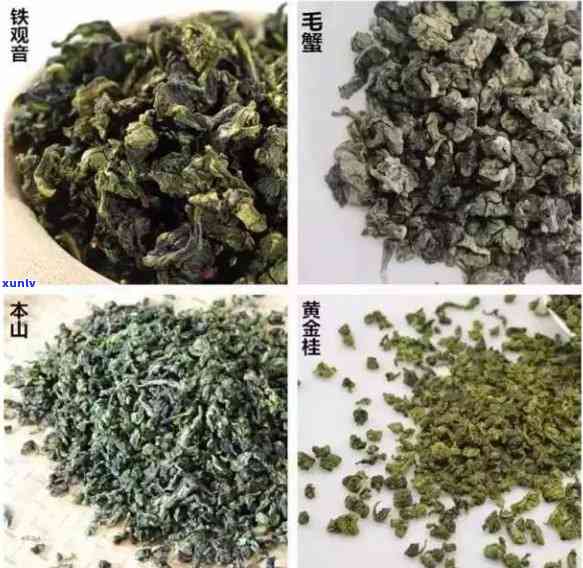  *** 高原茶叶有哪些- *** 高原茶叶有哪些品种