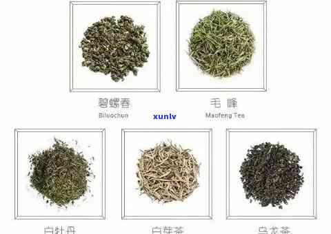 卷起来的茶叶有哪些-卷起来的茶叶有哪些品种