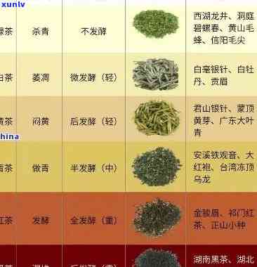 全面解析：茶叶品质特征的内容与特点