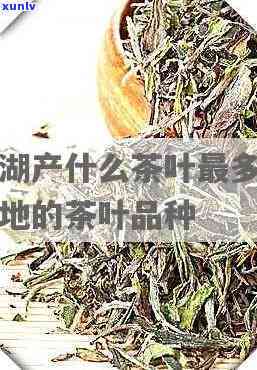 千岛湖茶叶全解析：哪些？