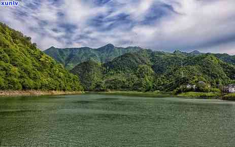 千岛湖的茶叶有哪些-千岛湖的茶叶有哪些品种