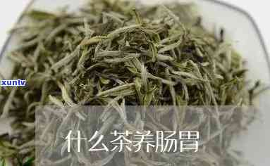 清肠胃的茶叶有哪些-清肠胃的茶叶有哪些品种