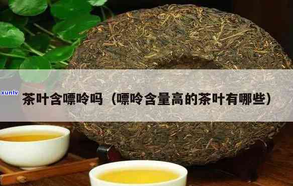 嘌呤高的茶叶有哪些种类，高嘌呤茶叶大盘点，哪些茶叶要少喝？