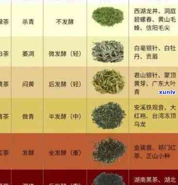 嘌呤高的茶叶有哪些-嘌呤高的茶叶有哪些品种