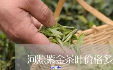 河源紫金茶叶有哪些-河源紫金茶叶有哪些品种