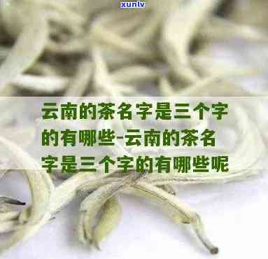 三个字的茶叶有哪些品种，探寻茶叶世界：三个字的茶叶品种大盘点