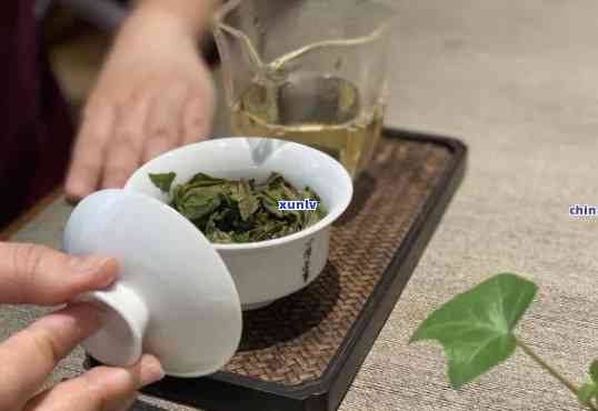 茶叶里加什么比较好喝，提升茶香的好搭档：茶叶里加什么比较好喝？