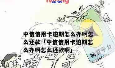 中信卡逾期无法采用？解决方案全在这里！