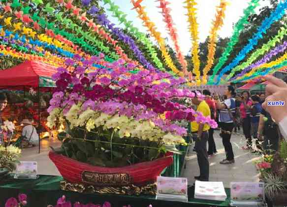 合肥茶叶市场哪个好-合肥茶叶市场哪个好城小兰花