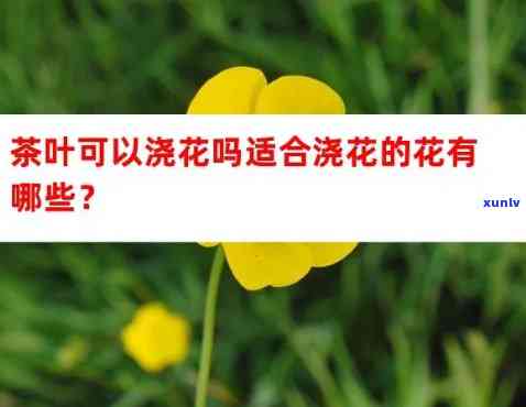 什么花用茶叶水浇好养活，茶叶水浇花：哪些花卉适合？