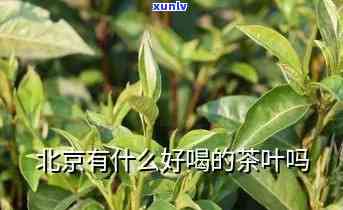 北京茶叶哪个好一点，寻找好茶？看这里！北京茶叶推荐