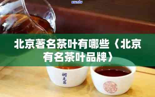 普洱茶买哪个牌子：品质与价格并重的选择