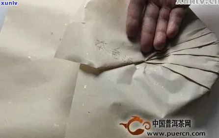 全面茶叶包装教程图解及视频，一网打尽！