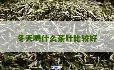 冬天喝的茶叶比较好-冬天喝的茶叶比较好喝吗