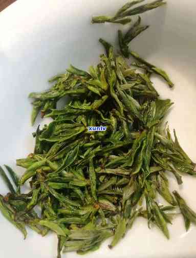 黄山哪里茶叶比较好卖，探秘黄山：哪里的茶叶卖？