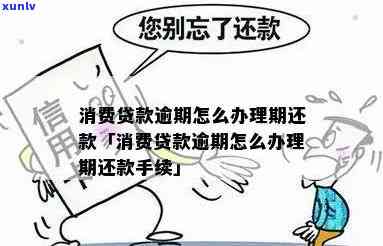 消费贷如何避免逾期-消费贷如何避免逾期还款